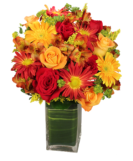 Colorful Canvas Arrangement in Branson, MO - Michele's Flowers And Gifts