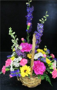 Colorful & Carefree Inspirations Original