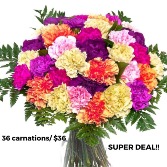 Colorful Carnation Bouquet Wrapped Bouquet