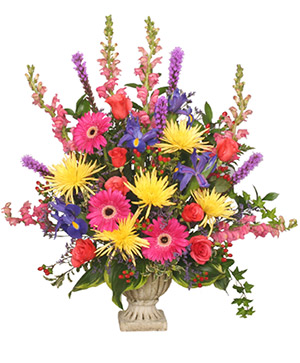 COLORFUL CONDOLENCES TRIBUTE  Funeral Flowers