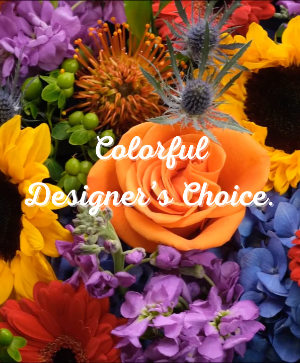 Colorful Designer's Choice  