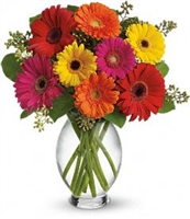Colorful Gerbera Vase Bouquet