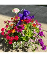 Colorful Mix Hanging Basket 