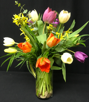 Colorful Mixed Tulips