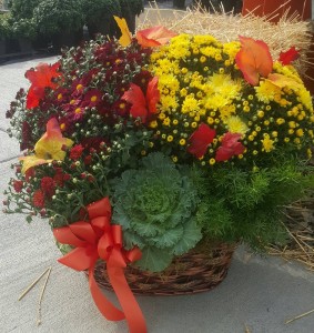 Colorful Mum Basket In Mansfield Oh Janet S Floral Design