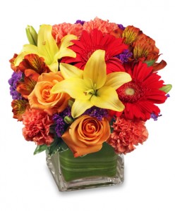 Colorful Rainbow Cube Mix Arrangement