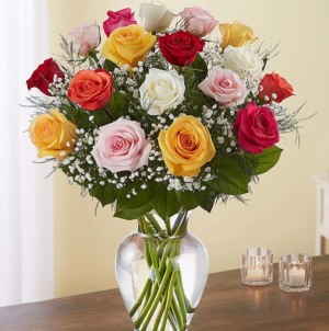 Colorful roses in vase  
