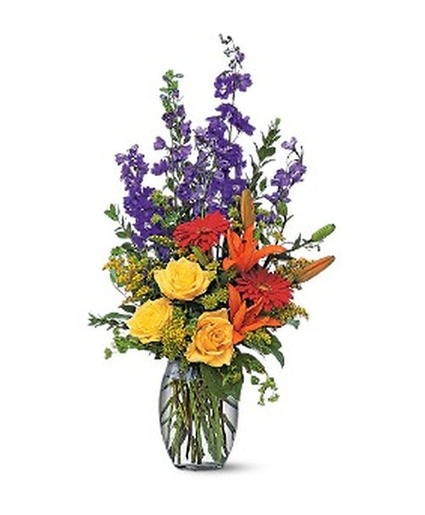 Colorful Sensation T17-1 Arrangement