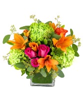 Colorful Sorbet Flower Arrangement