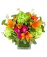 Colorful Sorbet Flower Arrangement