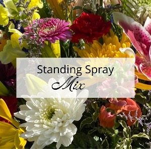 Assorted - Standing Spray 