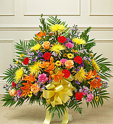 Colorful Tribute