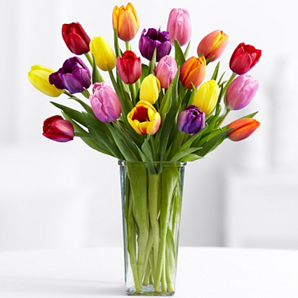 Colorful Tuilps Vase