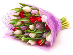 Category Image