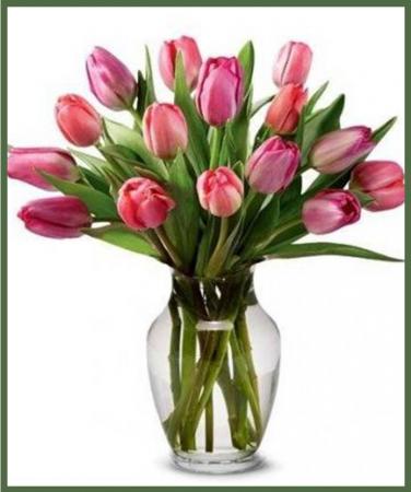 Colorful Tulips Springtime Favorite!