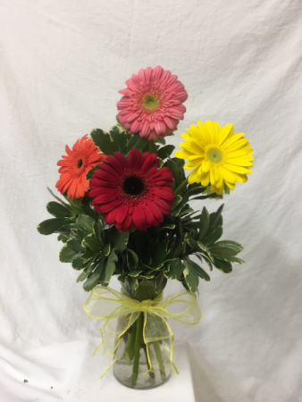 Colorful Vibes 6 Gerbera Daisies (mixed colors) arranged in a clear glass vase with greenery