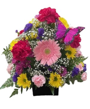 Colorful Wishes FHF-BW12 Fresh Flower Arrangement (Local Delivery Area Only)
