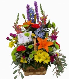 Category Image