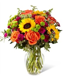 Colors of Passion Fresh