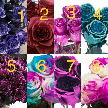 Pick a Number for Half or Full Dozen Metallic: 1. Blue 2. Red 3. Pink 4. Teal 5. Purple Dyed: 6. Blue/Pink 7. Pink/Black 8. Pink/White