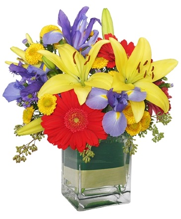 COLORS ON PARADE Flower Arrangement in Wilmington, DE | EVERLASTING BEAUTY FLORAL DESIGNS