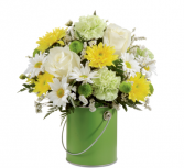 Colour your day with Beauty - 147 Arrangement