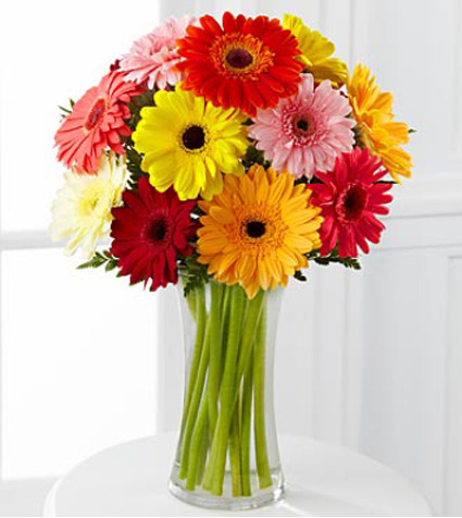 Colourful Array Gerbera Daisies Vased Arrangement