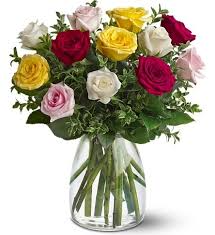 Colourful Love Roses
