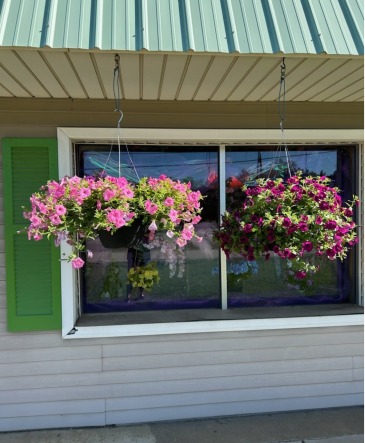Combination Hanging Plants  Hanging Plants  in Jackson, MI | JO'S FLOWERS