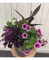 Combination Patio Pot
