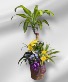 Combination Planter Green Plant