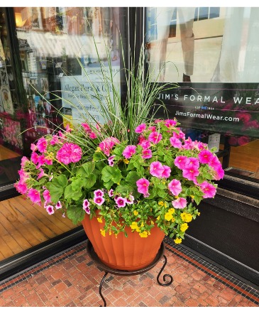 20inch  Combination Porch Pots Last 20 inch in this color only 1 avavilable in Allegan, MI | Allegan Floral and Gifts