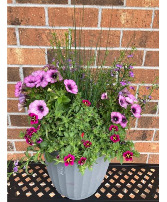 Combo Patio Pot 