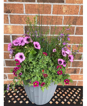 Combo Patio Pot 