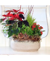 Comfort and Joy Planter 