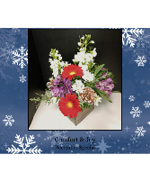 Comfort & Joy December Shop Special