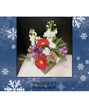 Comfort & Joy December Shop Special