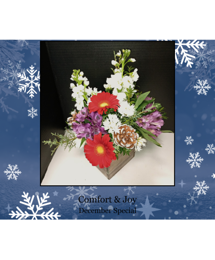 Comfort & Joy December Shop Special