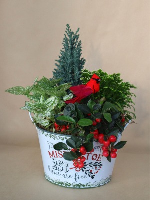 Mistletoe Festive Planter