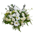 Comforting Dove Flowers