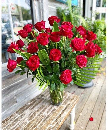 Coming Up Roses (1,2 or 3 Dozen Red Roses) Classic, Traditional & Beautiful Red Roses in Key West, FL | Petals & Vines
