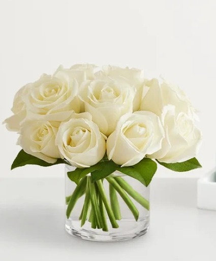 Compact Dozen White Roses