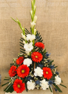Category Image