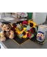 Congratulation Flowers and gifts combo Graduation 