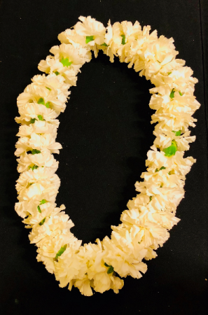 Congratulations! Carnation Lei in Boise, ID | HEAVENESSENCE FLORAL & GIFTS Congratulations! Carnation Lei in Boise, ID | HEAVENESSENCE FLORAL & GIFTS