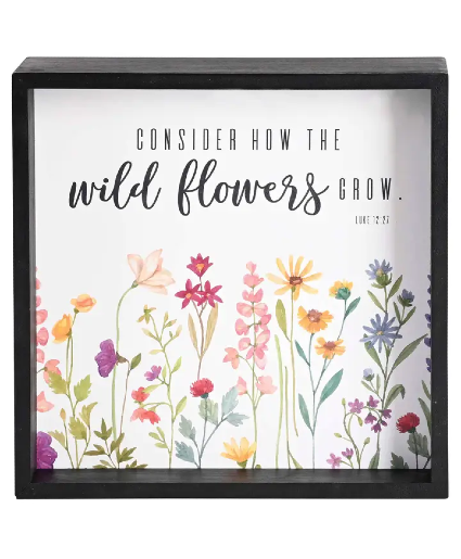 Consider How the Wildflowers Grow - Luke 12:27