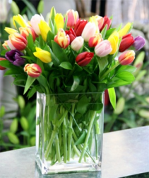 Contempo Tulips Arrangement