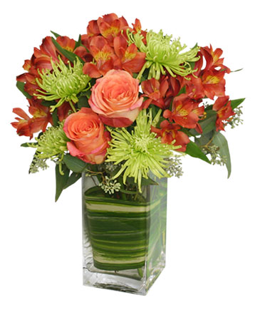 CONTEMPORARY AUTUMN Flowers in Mobile, AL | ZIMLICH THE FLORIST