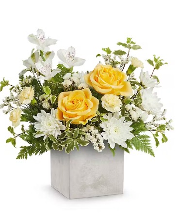 Contemporary Blossoms Arrangement in Winnipeg, MB | CHARLESWOOD FLORISTS Contemporary Blossoms Arrangement in Winnipeg, MB | CHARLESWOOD FLORISTS