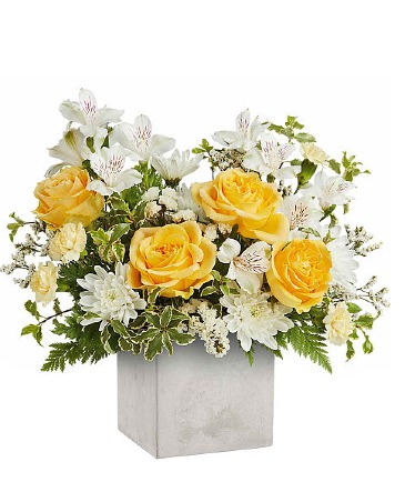 Contemporary Blossoms Arrangement in Winnipeg, MB | CHARLESWOOD FLORISTS